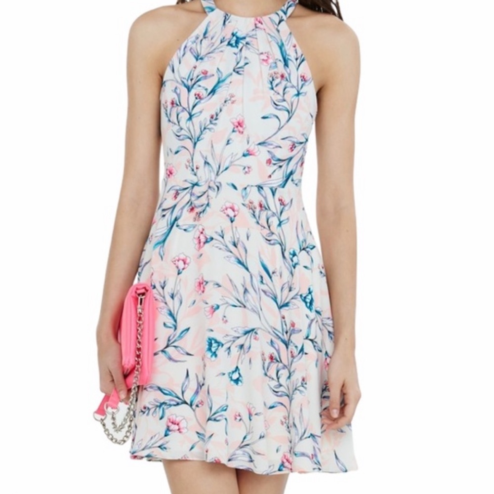 Express Halter Fit and Flare Dress